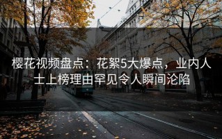 樱花视频盘点：花絮5大爆点，业内人士上榜理由罕见令人瞬间沦陷