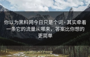 你以为黑料网今日只是个词 - 其实牵着一条它的流量从哪来，答案比你想的更简单