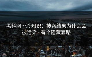 黑料网…冷知识：搜索结果为什么会被污染 - 有个隐藏套路