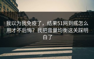 我以为我免疫了，结果51网到底怎么用才不后悔？我把音量均衡这关踩明白了
