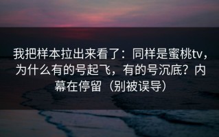 我把样本拉出来看了：同样是蜜桃tv，为什么有的号起飞，有的号沉底？内幕在停留（别被误导）